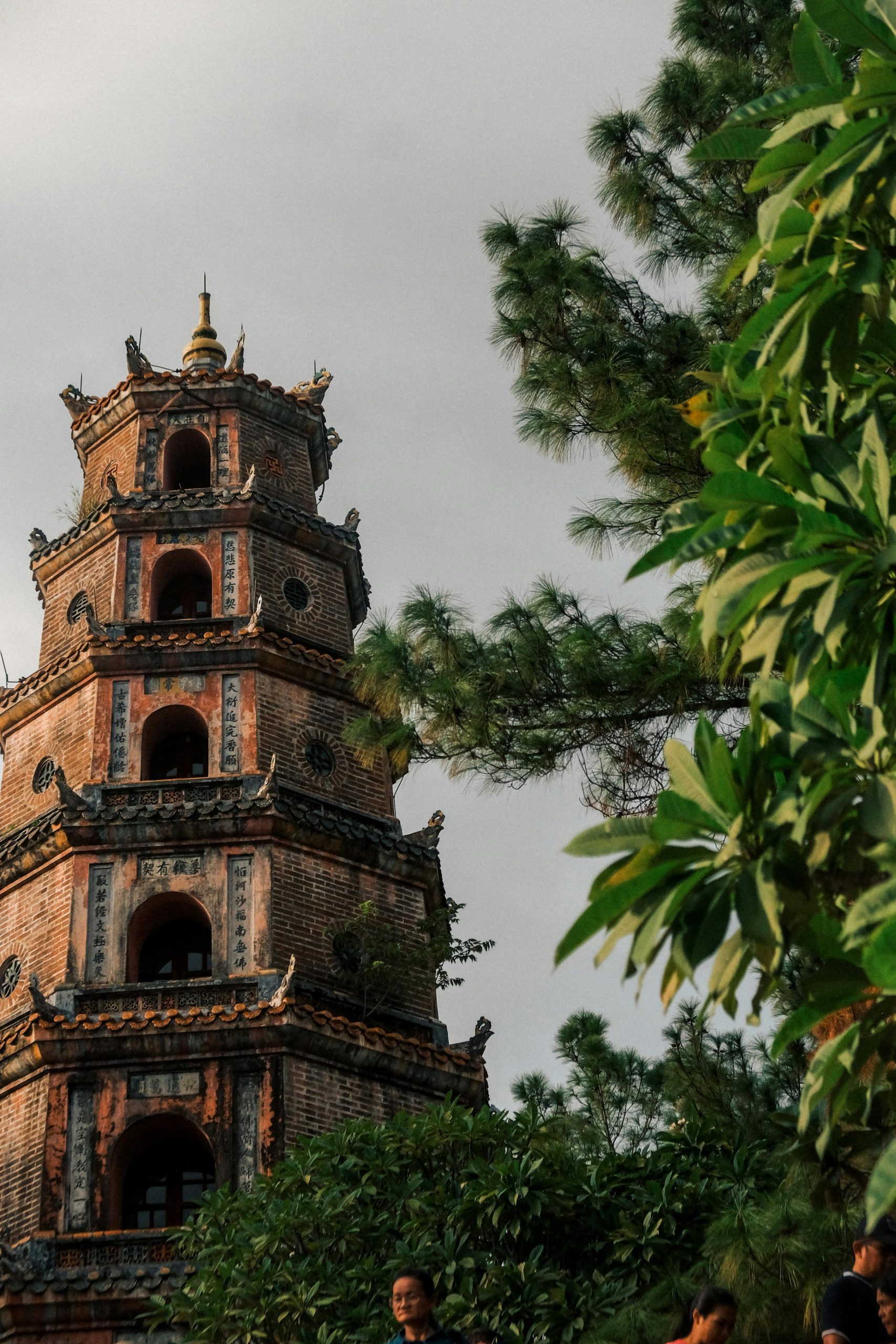 pexels-d-ng-nhan-324384-3155276
